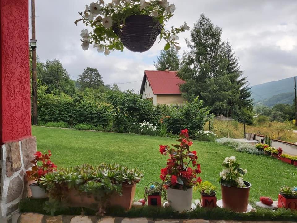 Villa Jelena Mavrovo Exteriér fotografie