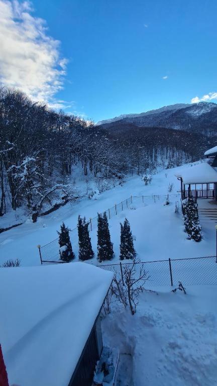 Villa Jelena Mavrovo Exteriér fotografie